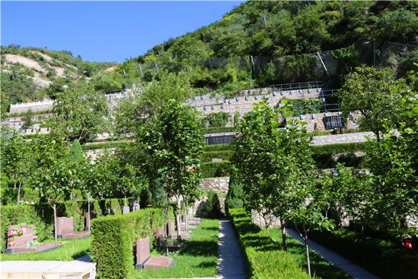 中国航天日,骨灰可以上太空吗?世界上有哪些浪漫的安葬形式呢? 中国航天日,骨灰可以上太空吗?世界上有哪些浪漫的安葬形式呢?