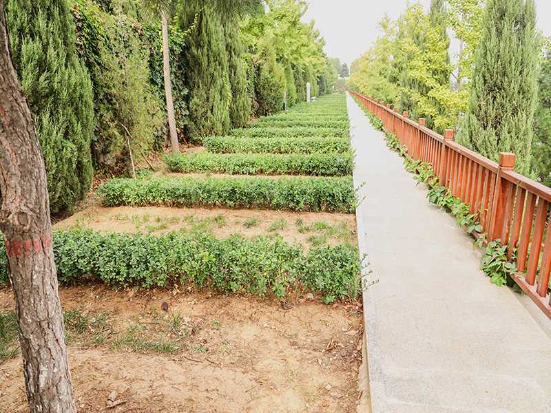 灵山宝塔陵园的电话是多少(去墓地最方便的方法是什么) 灵山宝塔陵园的电话是多少(去墓地最方便的方法是什么)