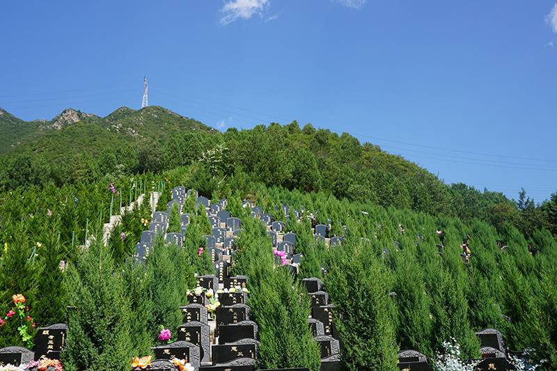 归山陵园有什么特点?归山陵园地址 归山陵园有什么特点?归山陵园地址